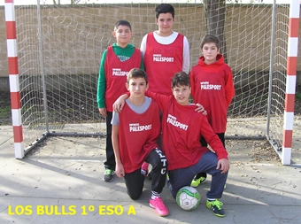 Los Bulls