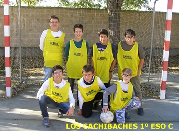 Los Cachibaches
