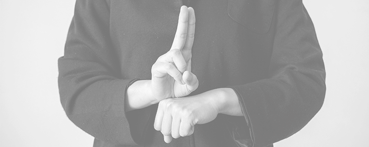 Cabecera Orientación