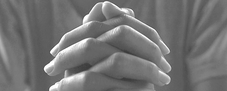 Cabecera Orientación